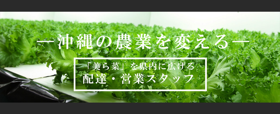 メイン