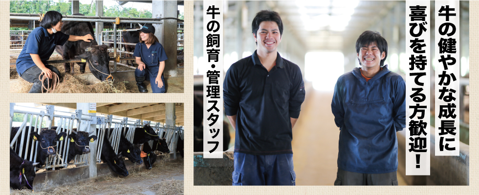 メイン